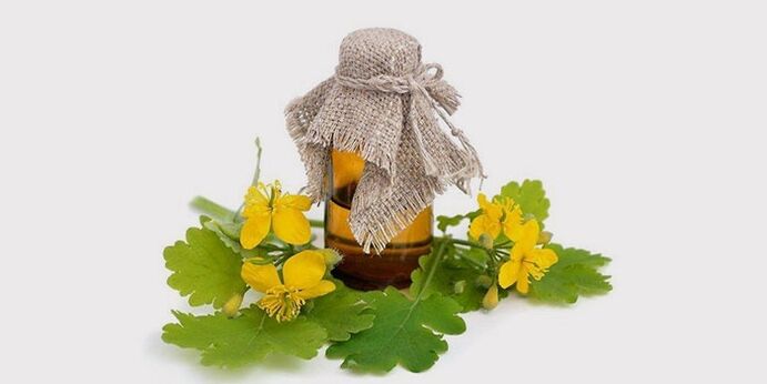 vaj celandine për kërpudhat e këmbëve